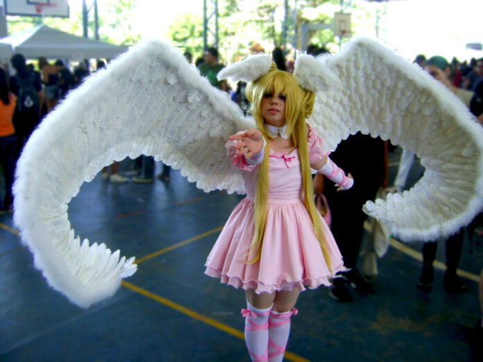 6-campinas-anime-fest