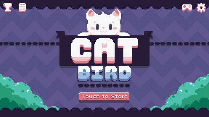 Cat Bird