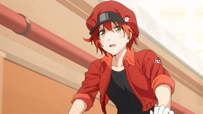 Cells At Work