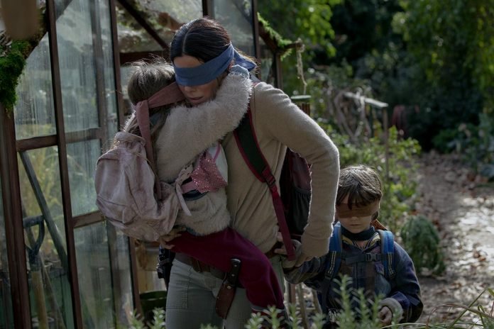 bird box