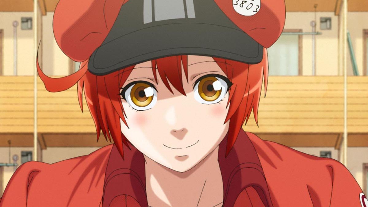 Hataraku Saibou: Anime baseado no nosso sistema imunológico – Nerdistraido