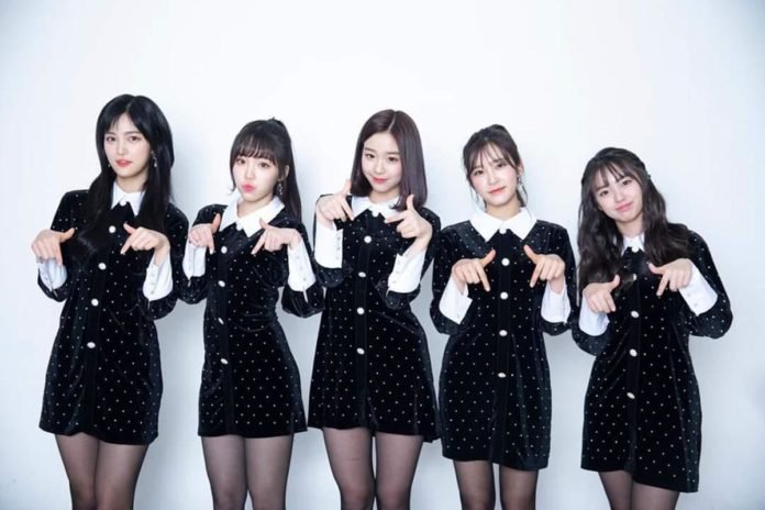 busters k-pop
