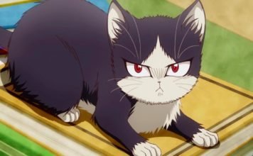 my roommate is a cat