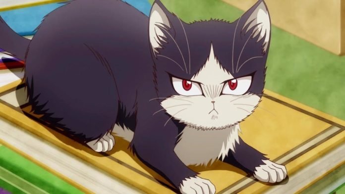 my roommate is a cat