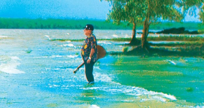 Amazônia Groove