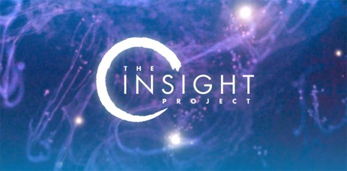 projeto insight ninja theory