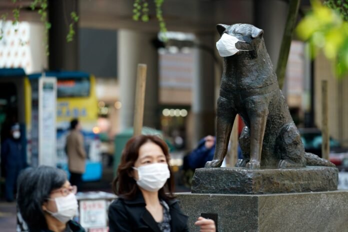 hachiko covid mask hachiko covid mask
