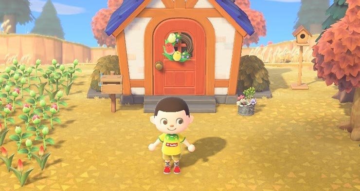 animal crossing rugby brasil (1) animal crossing rugby