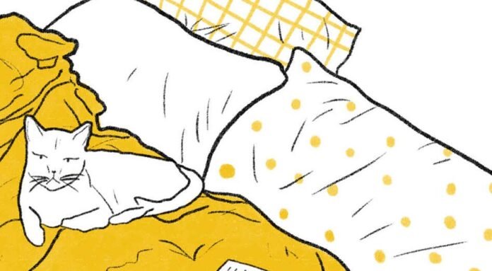 amorez regiane folter