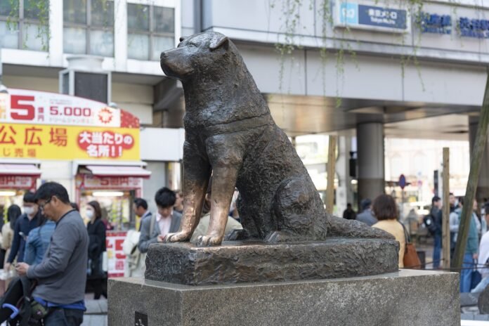 hachiko shibuya