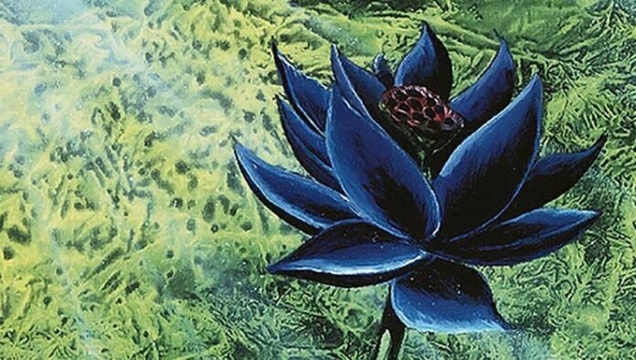 black-lotus