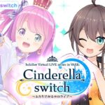 Cinderella Switch