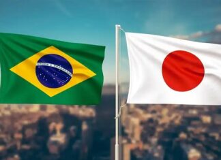 KPMG Japão Brasil