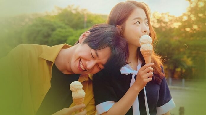 o verão que mudou minha vida