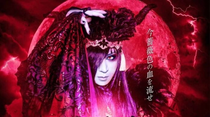d novo album kekkai new world