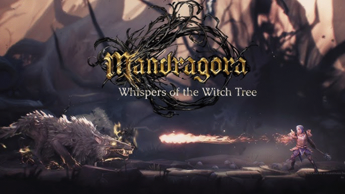 mandragora-whispers-of-the-witch-tree-recebe-novo-trailer-atualizacao-capa