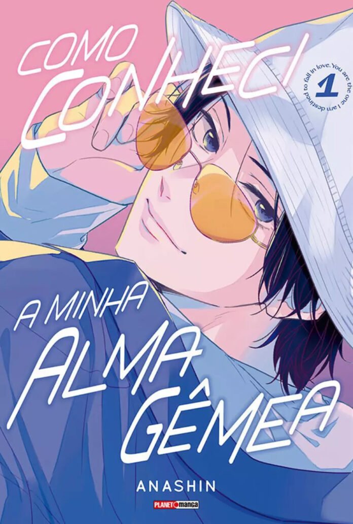 Como Conheci a Minha Alma Gêmea