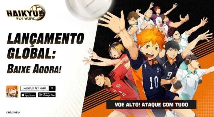 HAIKYU!! FLY HIGH