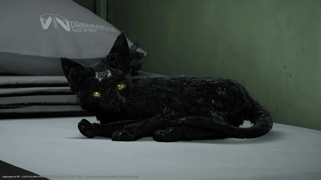 felino death stranding 2