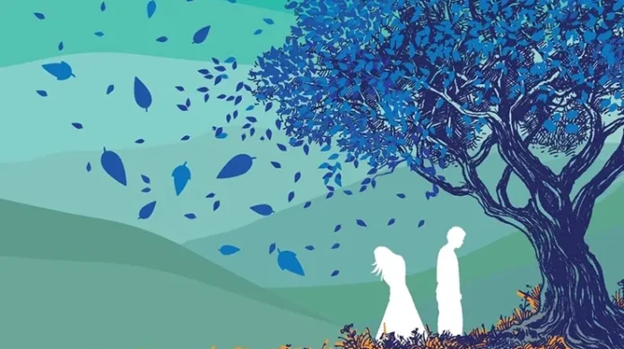 o morro dos ventos uivantes livro capa