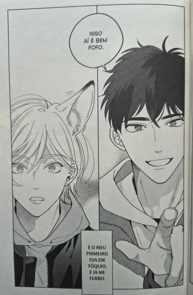 Ciúme cor de Raposa Editora JBC boys love